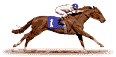 horse2.gif
